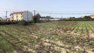 Land for sale in Ovar, Portugal — €100,000