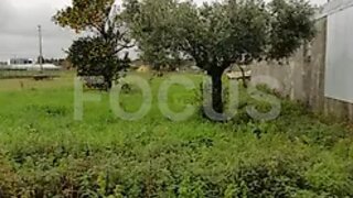 Terreno de 2026 m² em Aveiro
