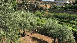 Land for sale in Torre de Moncorvo, Portugal — €110,000