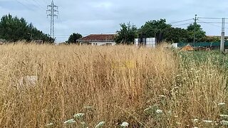 Land for sale in Estarreja, Portugal — €39,000