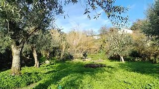 Terreno de 2000 m² em Portalegre