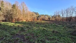 Terreno em São Pedro do Sul