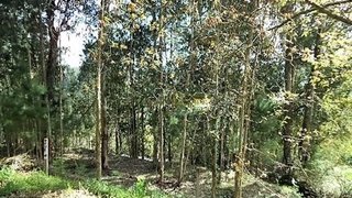 Land for sale in Penafiel, Portugal — €80,000