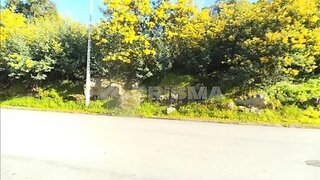 Land for sale in Horta, Portugal — €26,000