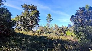 Land for sale in Loulé, Portugal — €100,000