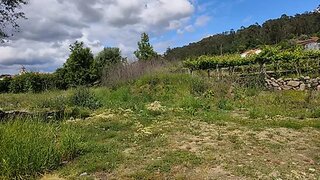 Land for sale in Barcelos, Portugal — €55,000
