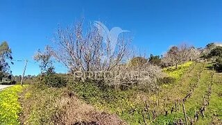 Land for sale in Torres Vedras, Portugal — €49,900