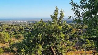Terreno de 3480 m² em Faro
