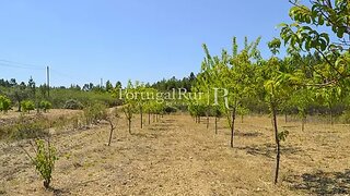 Land for sale in Proença-a-Nova, Portugal — €10,000