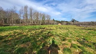 Terreno em Viseu · 6145 m² · 40 000 €