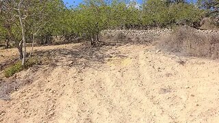Land for sale in Loulé, Portugal — €76,500