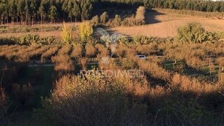 Land for sale in Lourinhã, Portugal — €90,000