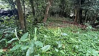 Land for sale in Ponta Delgada, Portugal — €44,000
