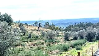 Land for sale in Portalegre, Portugal — €120,000