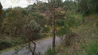 Land for sale in Constância, Portugal — €22,000