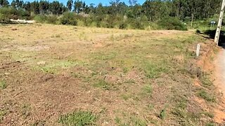 Terreno em Vila Nova de Gaia · 7801 m² · 164 750 €