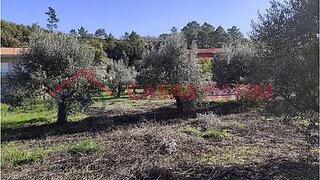 Land for sale in Batalha, Portugal — €27,500
