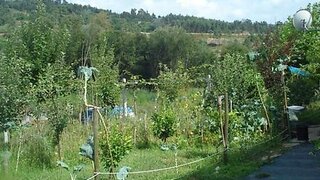 Land for sale in Aveiro, Portugal — €65,000