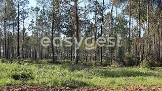 Land for sale in Tomar, Portugal — €30,000