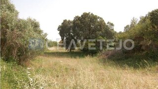 Land for sale in Ferreira do Zêzere, Portugal — €22,500