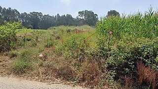 Terreno para venda em Ovar, Portugal — 25 000 €