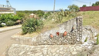 Land for sale in Chamusca, Portugal — €51,000