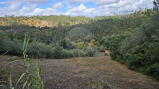 Terreno para venda em Tomar, Portugal — 23 000 €