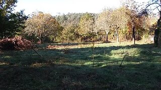 Land for sale in Ponte de Lima, Portugal — €85,000