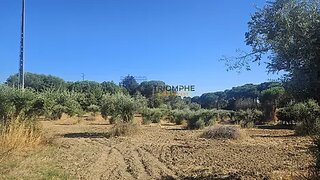 Land for sale in Entroncamento, Portugal — €90,000