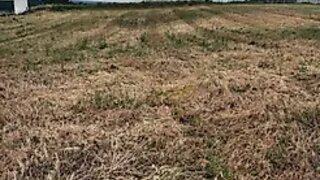 Land for sale in Torres Novas, Portugal — €65,000