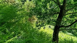 Land for sale in Seia, Portugal — €50,000