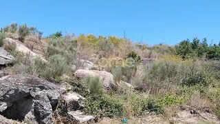 Terreno em Oliveira do Hospital · 6000 m² · 30 000 €