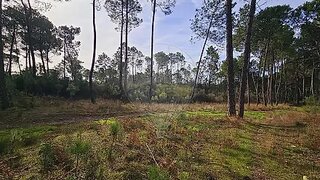 Terreno em Mangualde