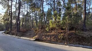Land for sale in São Pedro do Sul, Portugal — €6,000