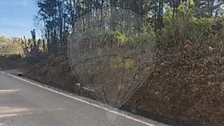 Land for sale in Alcobaça, Portugal — €280,000