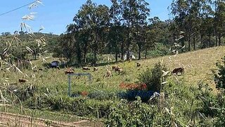 Land for sale in Odemira, Portugal — €4,344,920