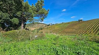 Land for sale in Mafra, Portugal — €233,000