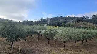 Land for sale in Condeixa-a-Nova, Portugal — €95,000