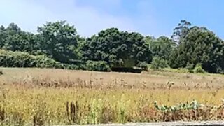 Land for sale in Caminha, Portugal — €94,000