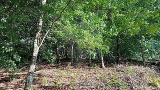 Land for sale in Arcos de Valdevez, Portugal — €51,150