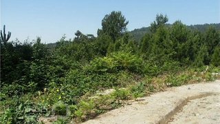 Land for sale in Barcelos, Portugal — €60,000