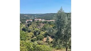Terreno em Abrantes · 1508 m² · 23 500 €