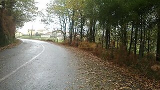 Land for sale in Oliveira de Azeméis, Portugal — €32,000