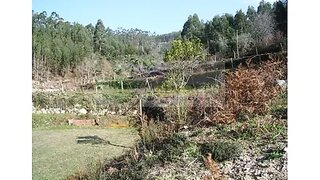 Land for sale in Sever do Vouga, Portugal — €91,000