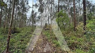 Terreno de 2930 m² em Leiria