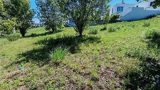 Land for sale in Torres Novas, Portugal — €32,000