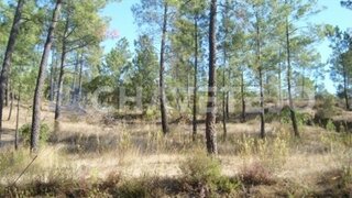 Land for sale in Tomar, Portugal — €85,000