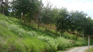 Land for sale in Águeda, Portugal — €31,800