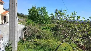 Land for sale in Pombal, Portugal — €48,000