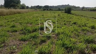 Land for sale in Oliveira do Bairro, Portugal — €38,500